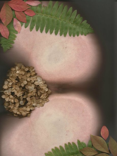 bb apathy modelo xxx imagen