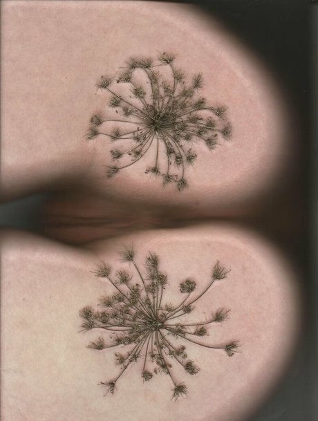 bb apathy estrella exclusiva recopilación