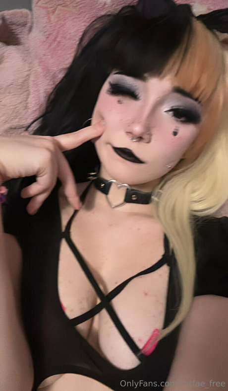 ratfae free Fotoaufnahmen