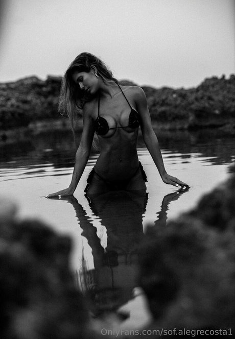 sof alegrecosta1 estrella hermosa imágenes