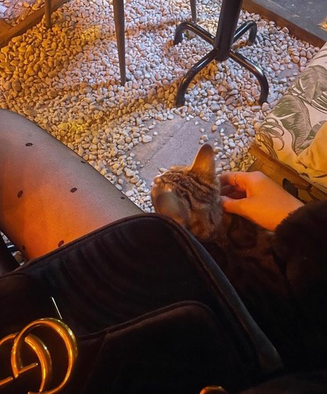 ryydachan modelo de alta calidad fotos