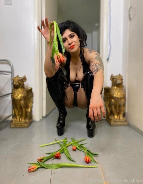 mistresssophiasahara hermosa estrella galería