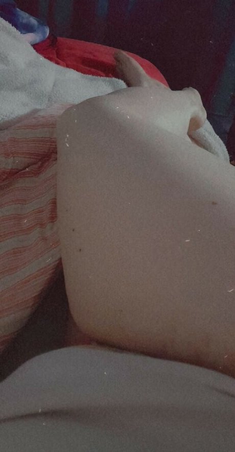 Wafflesandpancakes modelo superior galerías