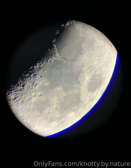 knotty by nature modelo gratis recopilación