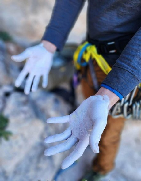 knotty by nature hermosa estrella foto