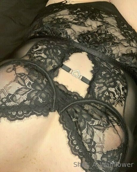 shes a wallflower estrella libre foto