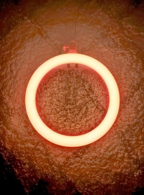 Dreamaliciousxxx desnudos estrella fotos