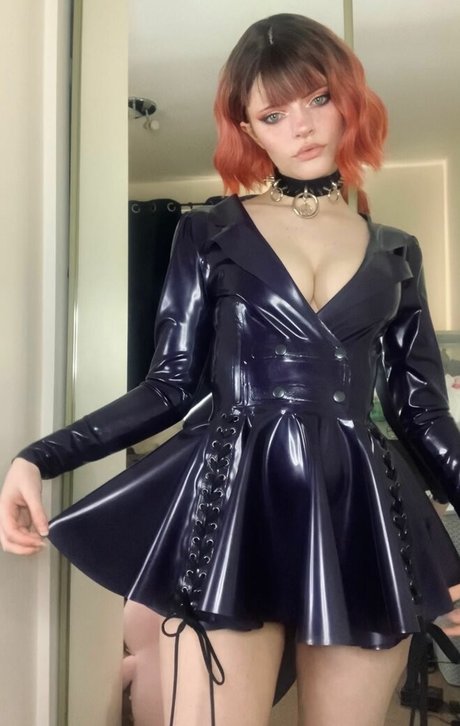 thecutestkittycat estrella perfecta fotos