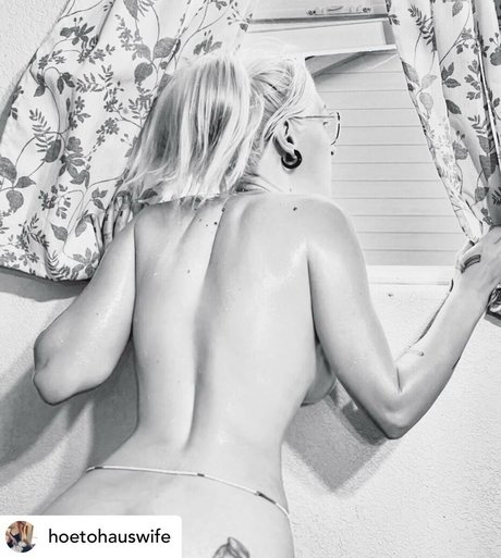 Hoetohauswife libre de estrellas imagen