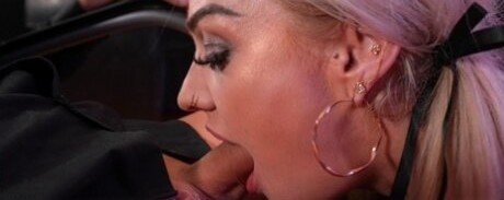 Hollandsche Passie bonita modelo imagen