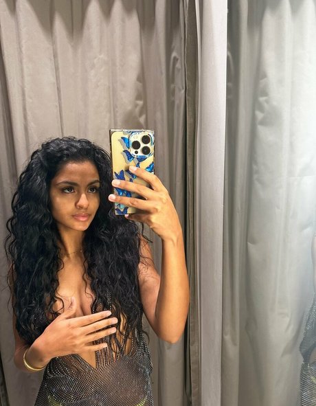 Minadorio estrella perfecta imágenes