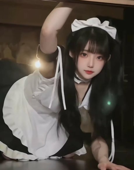 dhn3011 estrella exclusiva galería