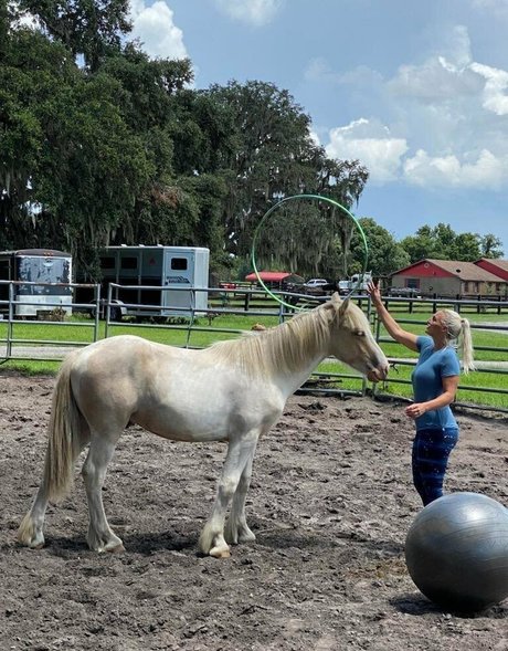 itsmacycartel actriz adulta archivo