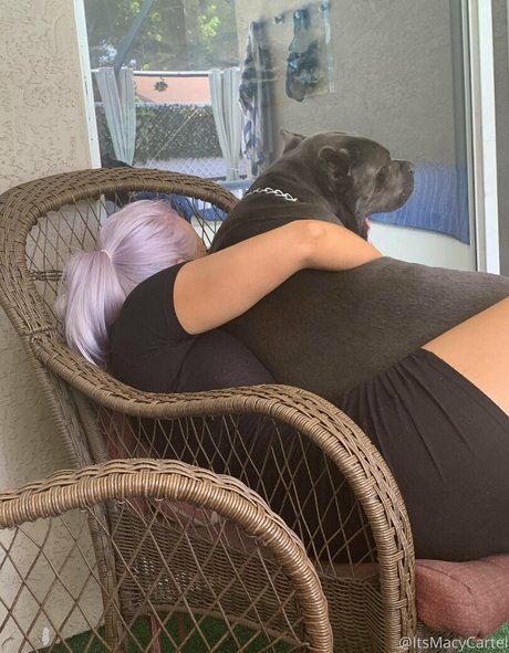 itsmacycartel estrella porno xxx imagen