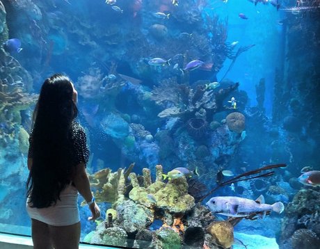 eceozbdk estrella porno imagen