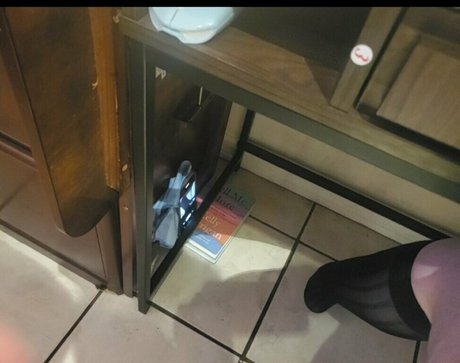 solo fans de travestis desnudos xxx imágenes