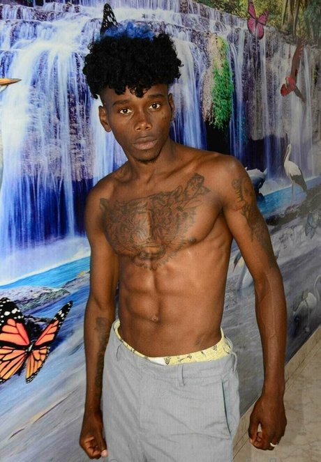 afroflavor estrella del sexo recopilación