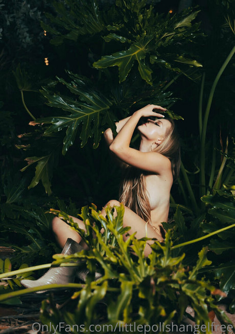 littlepolishangelfree estrella libre fotos