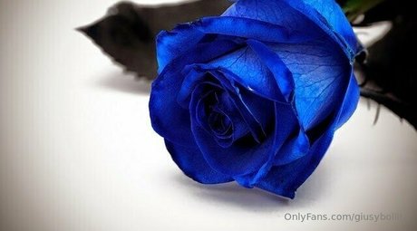 only queen84 estrella de alta calidad foto