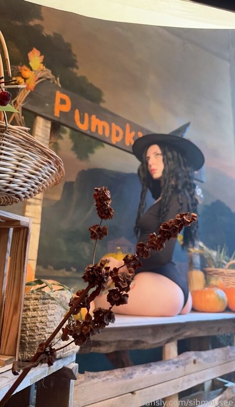 sibmouse estrella porno superior fotos