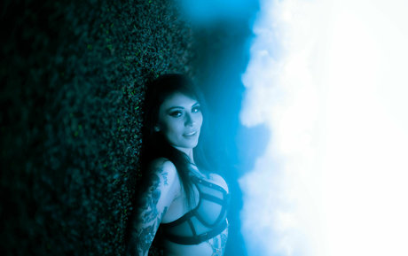 belladonna2 0 arte estrella porno archivo