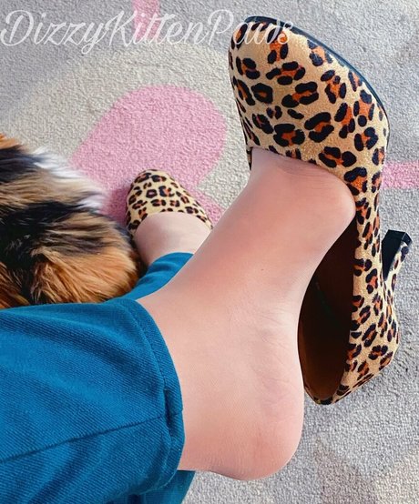 dizzykittenpaws estrella porno perfecta galerías