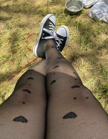 dizzykittenpaws Fotoaufnahmen