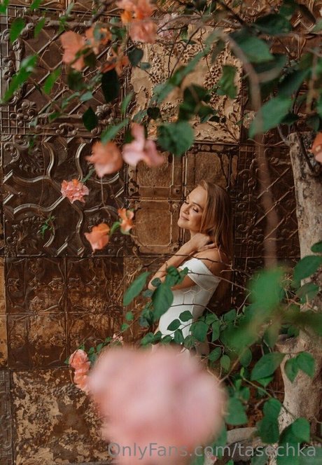 tasechka estrella porno xxx foto