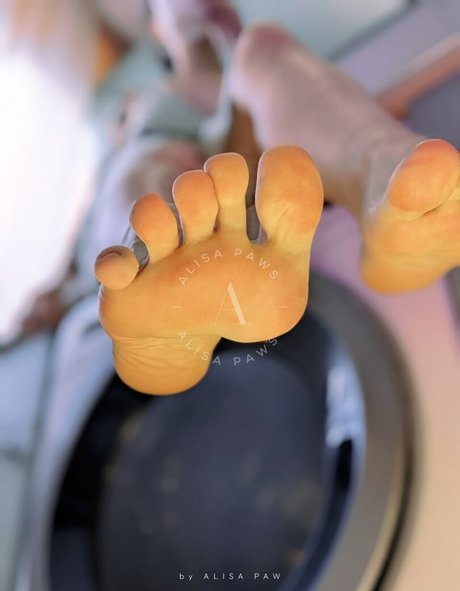 Alisa Paws estrella del arte imagen