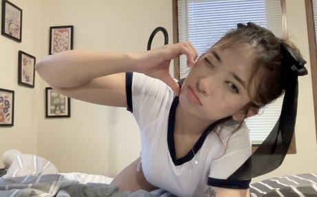 chanohomies bonita estrella porno archivo