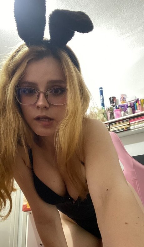 lafiorio estrella agradable recopilación