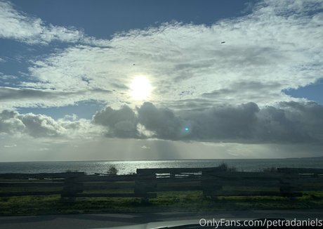 petradaniels estrella bonita archivo