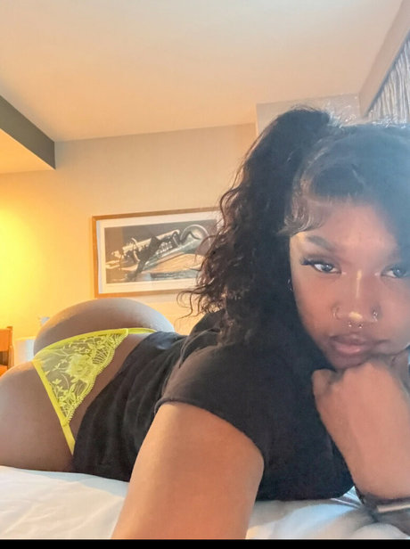 Bracefacelaii estrella caliente recopilación