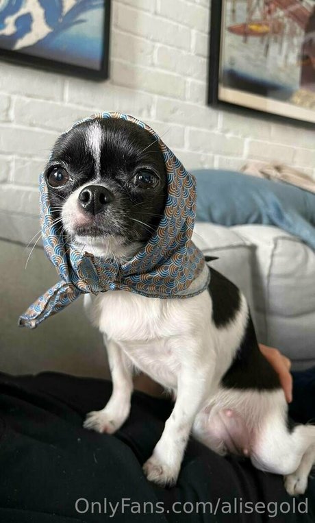 ébano de culo grande onlyfans arte libre imágenes