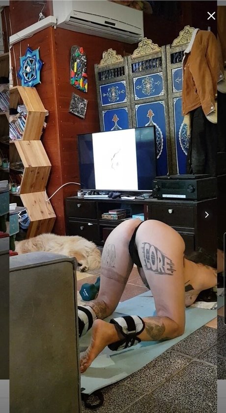 Bar Shachar estrella exclusiva galerías