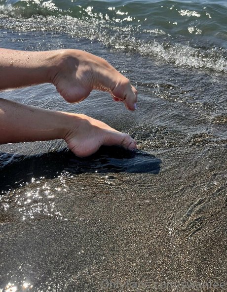 swanfee arte estelar archivo