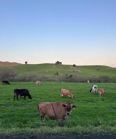 mamá sexy onlyfans erótica exclusiva fotos