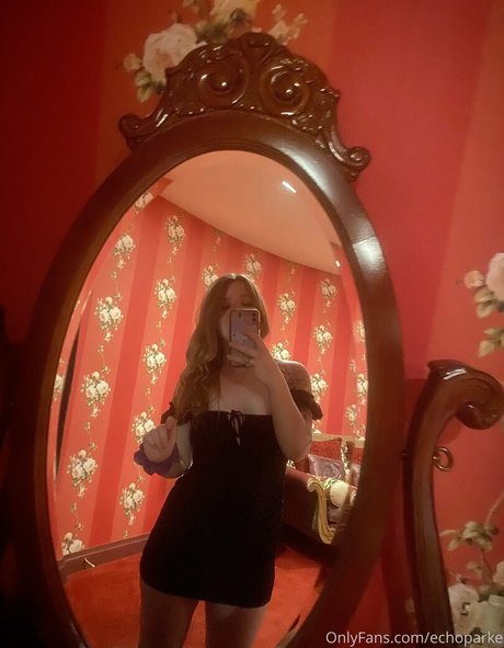 echoparke modelo gratis archivo