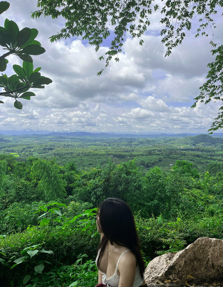 nam093178 modelo libre archivo