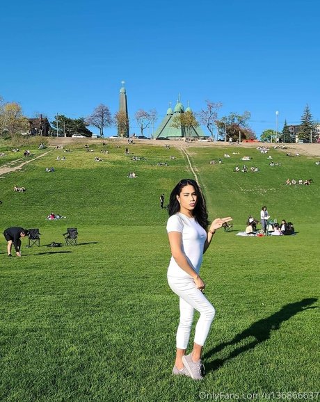 ayavonlee estrella superior galerías