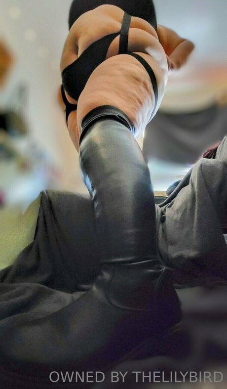 ladylilithbyrd estrella imagen