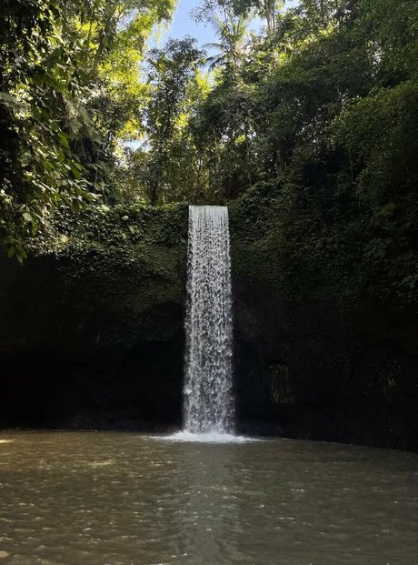 pppoisonnn ivy estrella porno galerías