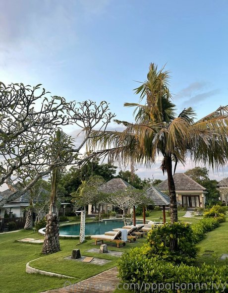 pppoisonnn ivy bonita modelo imagen