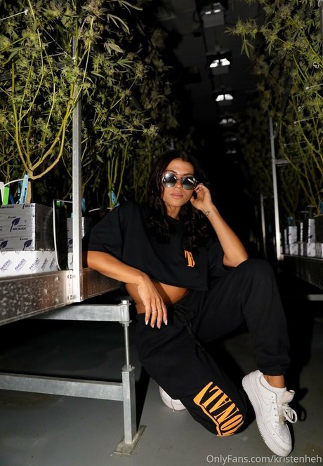 kristenheh estrella de alta calidad imagen