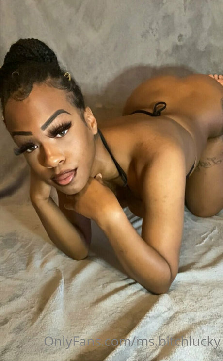 ms bitchlucky buena actriz recopilación