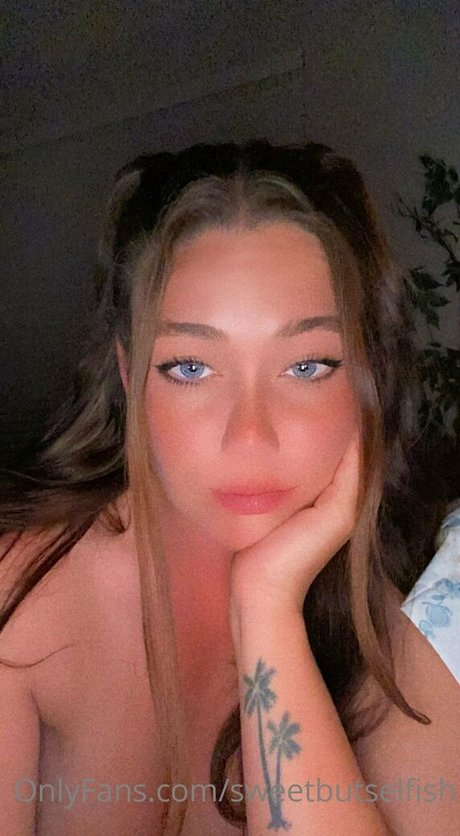 sweetbutselfish estrella bonita galería