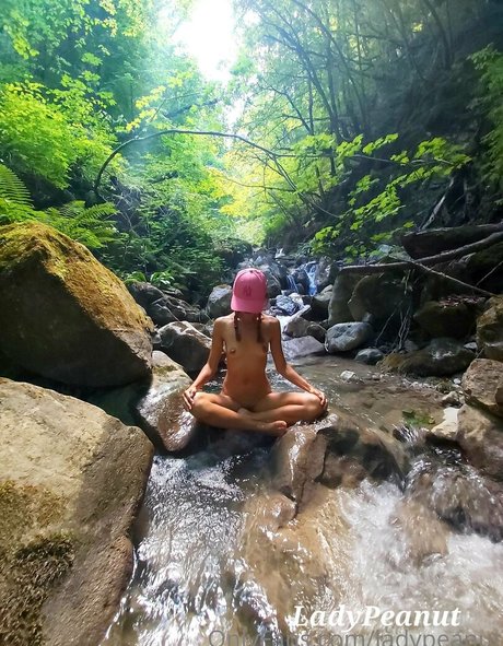 ladypeanut estrella agradable recopilación