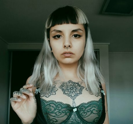 imbellatrixx modelo de arte recopilación