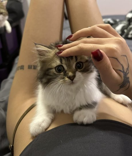 Gupgiiiiift desnudos de modelos imagen