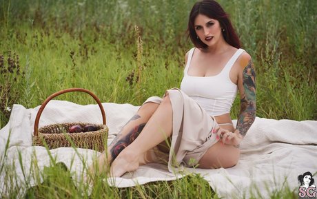 Lovemeferal estrella perfecta archivo